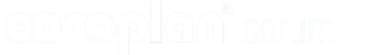 COROPLAN scrum Magnete