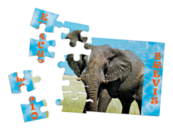 Puzzle personnalisé magnétique